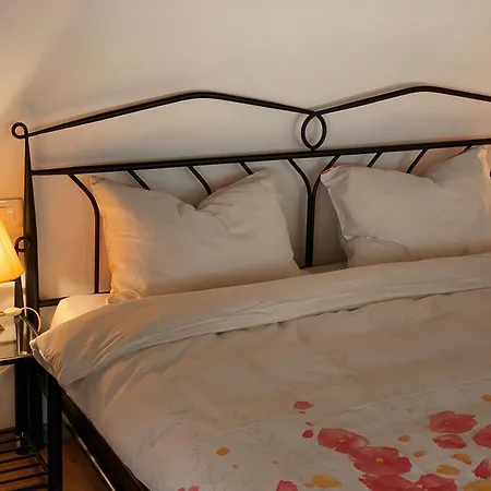 Casa vacanze Bubo House